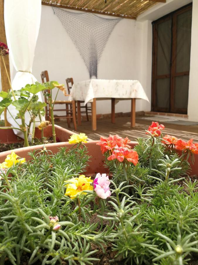 オリスターノCasa Sartigliaアパートメント エクステリア 写真